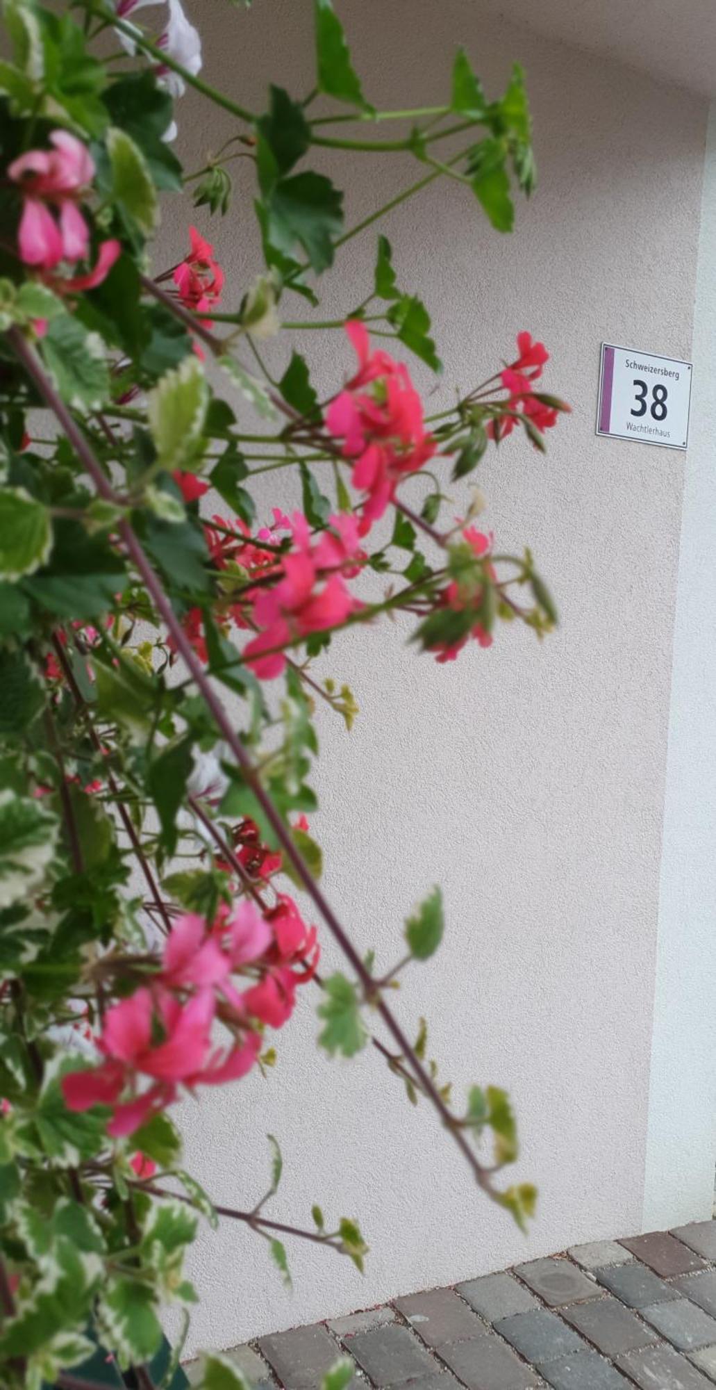Ferienwohnung Blick ins Grüne Rossleithen Exterior foto