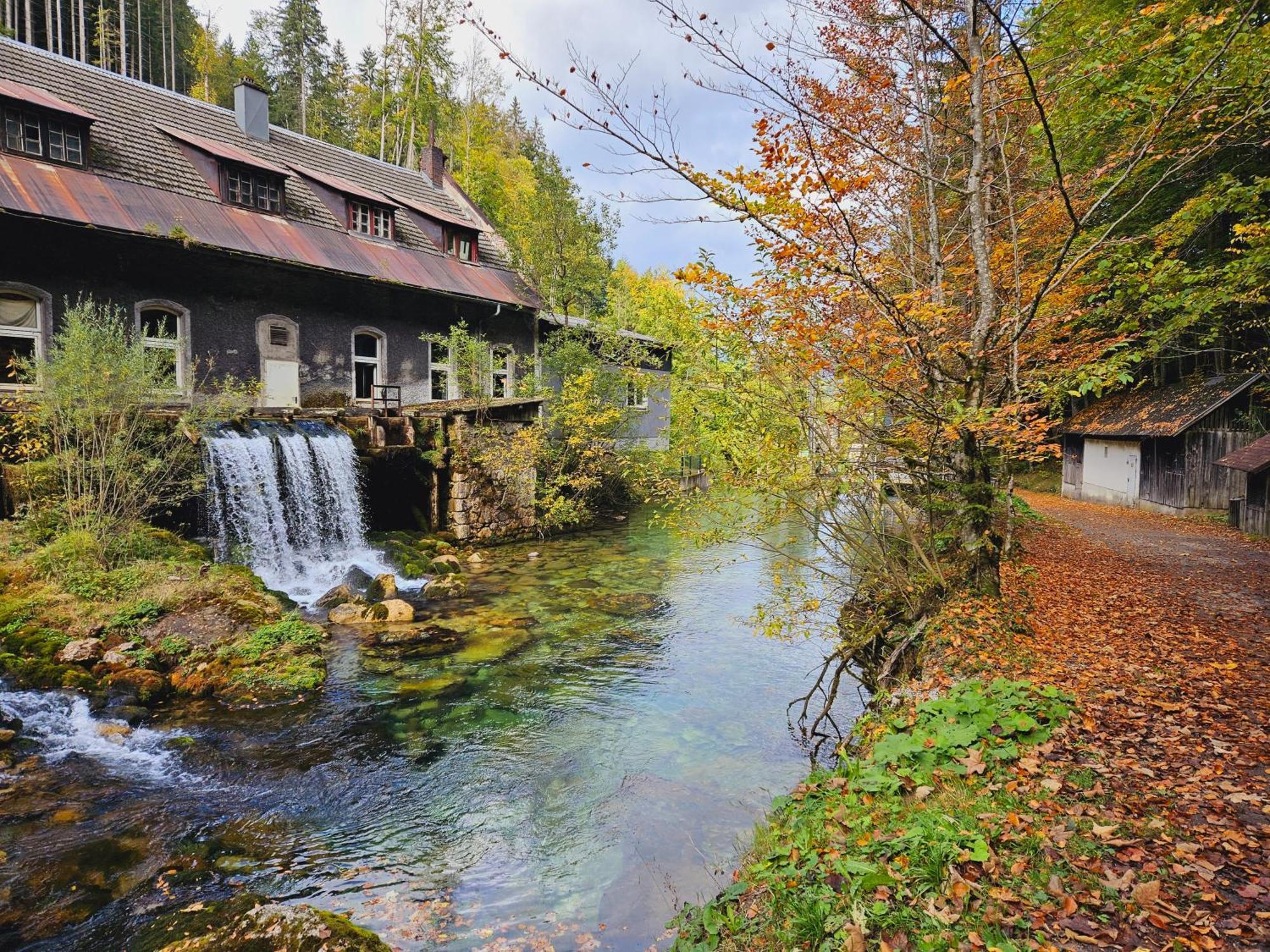 Ferienwohnung Blick ins Grüne Rossleithen Exterior foto